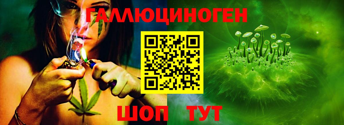 Псилоцибиновые грибы MAGIC MUSHROOMS  Вход с VPN  Заводоуковск 